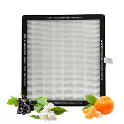 Hepa Filter for Airock - Fresh Fruit